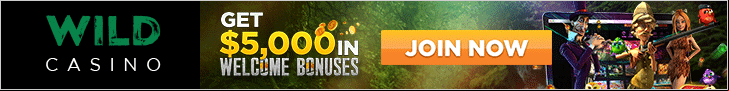 Payment Options Wild Casino