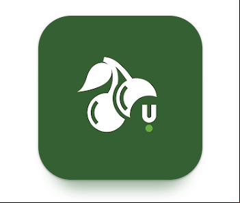Unibet Casino Detailed Review for 2025